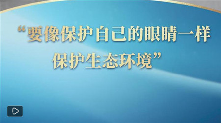 1723735609116859.jpg b2317bf4-6bde-4c3f-bff7-51703e0f4ae1.jpg