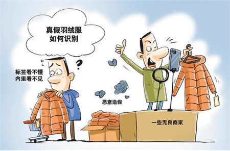 1733235568211592.jpg 21ef0c83-bfca-4729-b5e1-c6c5b0ae2459.jpg